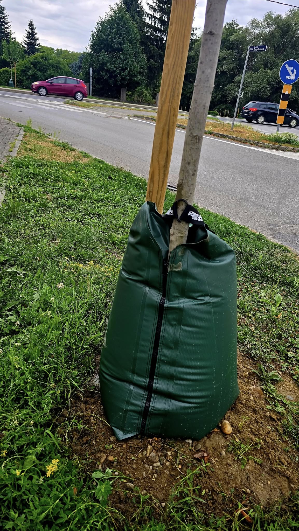 Postavljene vreće za zalijevanje mladih stabala na području Grada Ludbrega