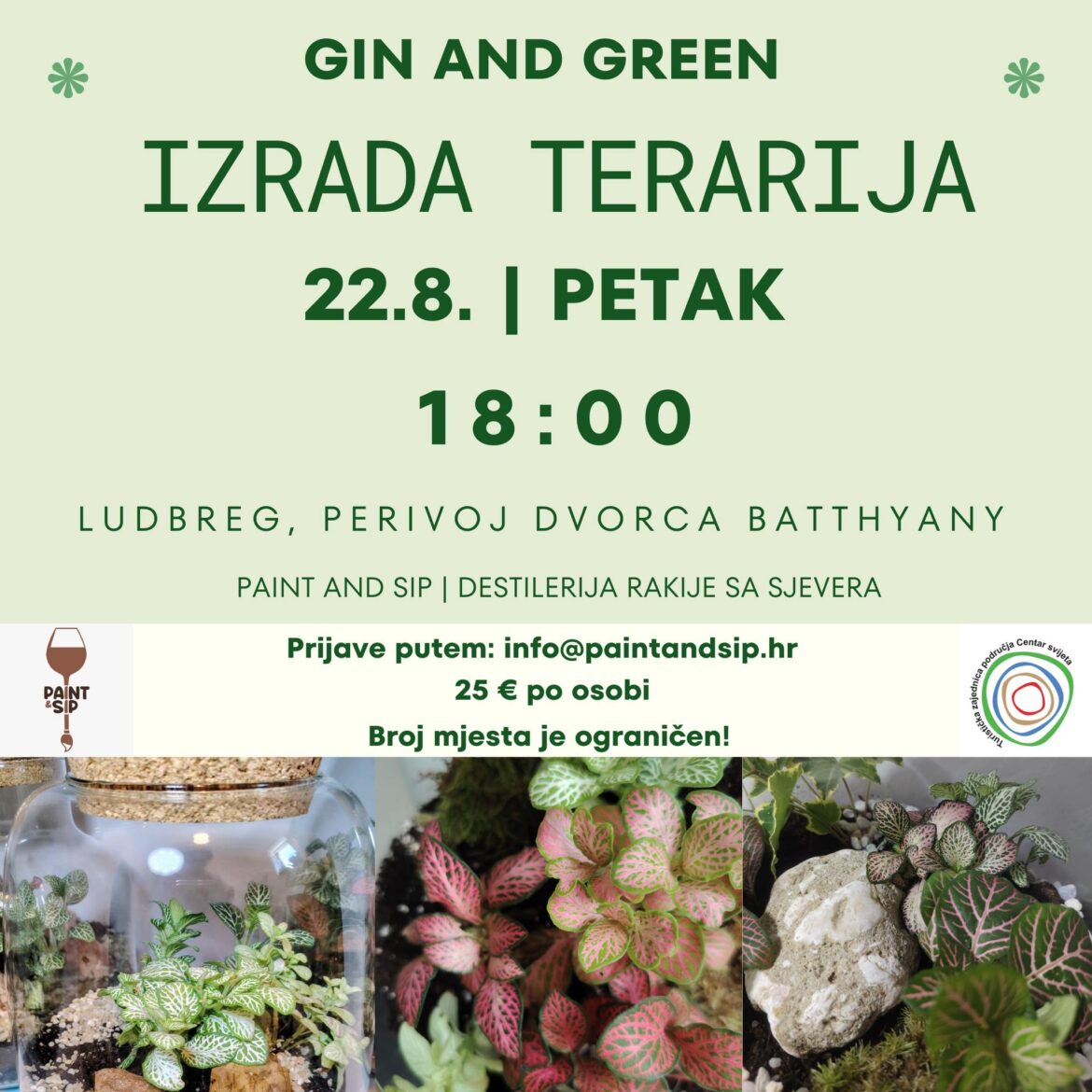 Gin & Green – kreativna radionica izrade terarija u Ludbregu