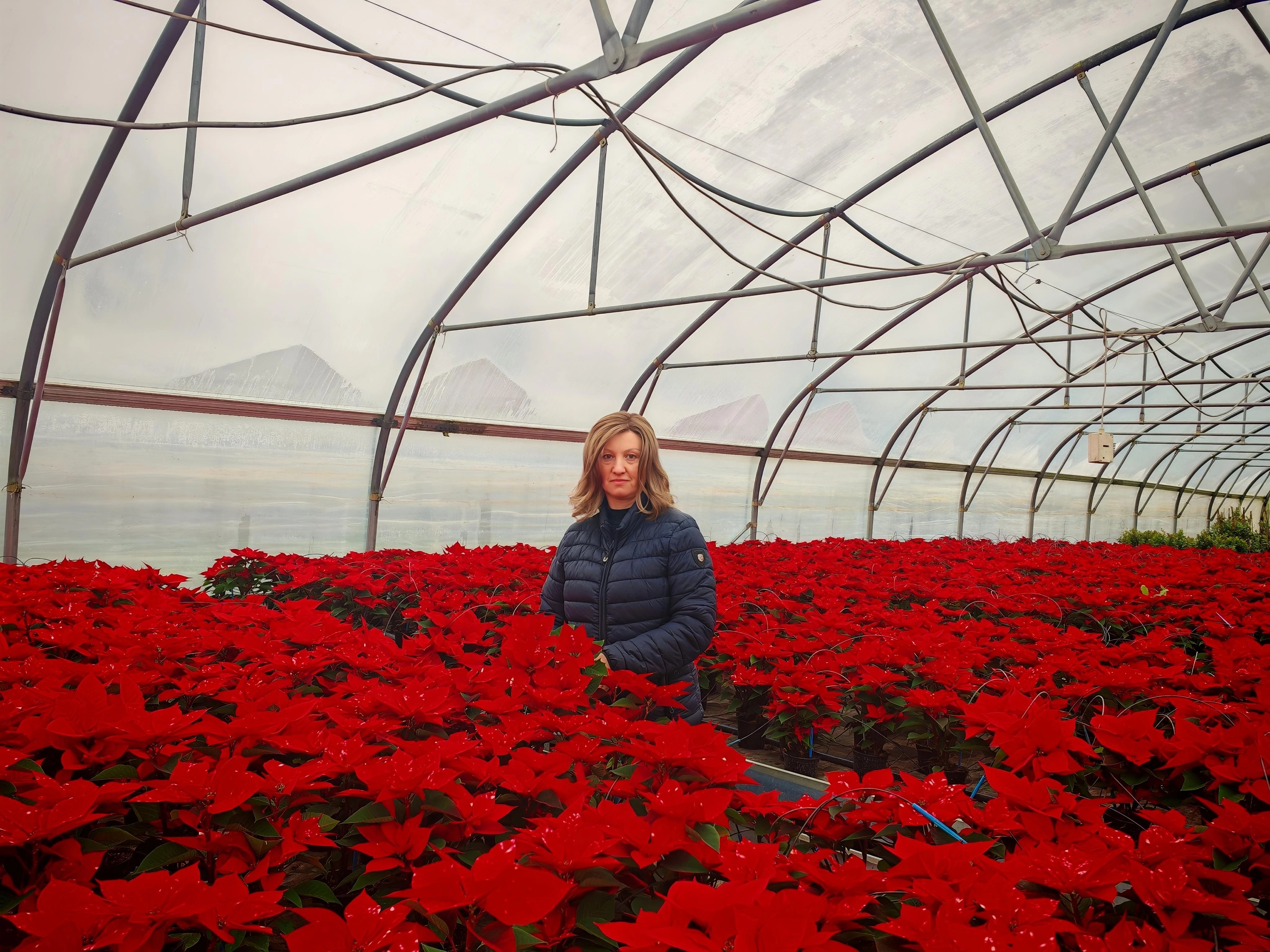 Božićne zvijezde iz Velikog Bukovca unijele mir i toplinu u domove diljem Hrvatske