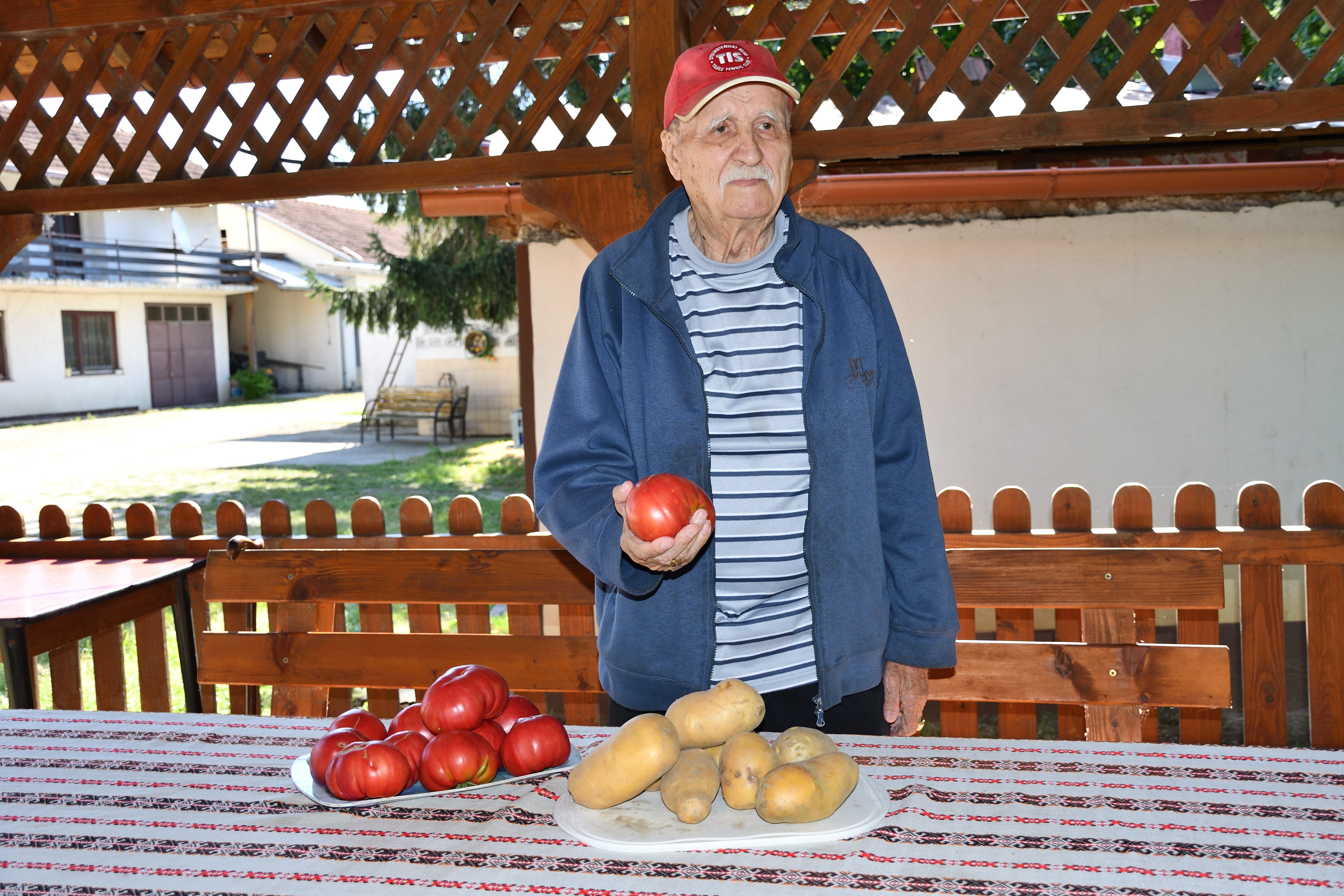 Pavao Travanić (93) uzgaja rajčice i krumpire koji privlače poglede