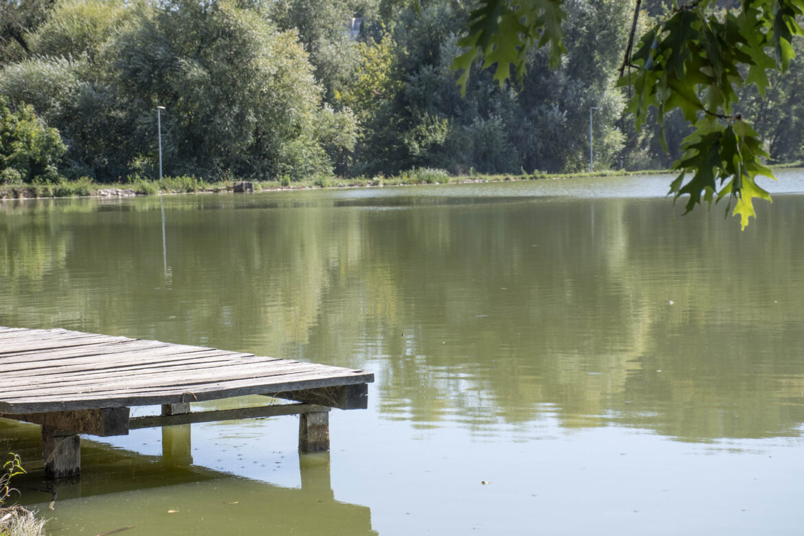 Brzom intervencijom spriječen pomor ribe u ludbreškim ribnjacima