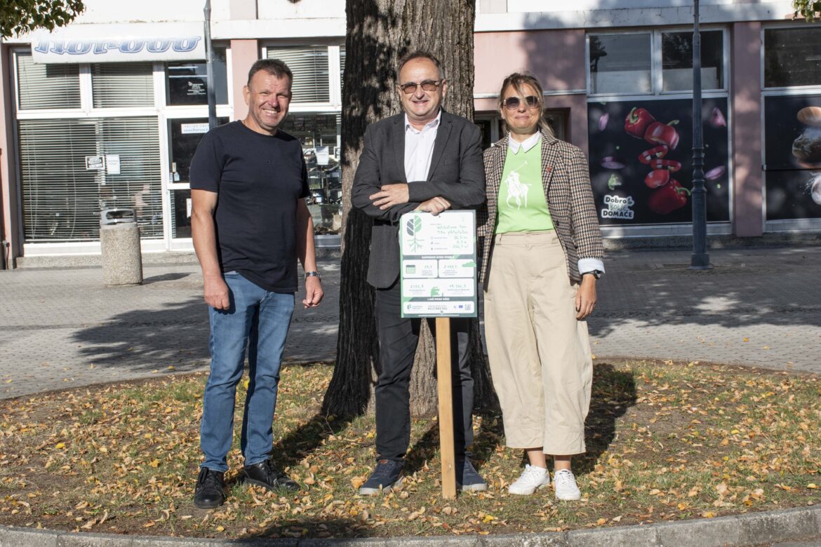 Lipa u srcu Ludbrega dobila posebnu TreeTag oznaku